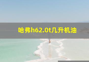 哈弗h62.0t几升机油