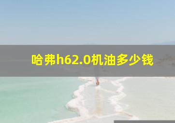 哈弗h62.0机油多少钱