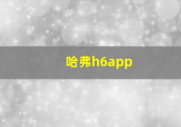 哈弗h6app