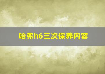 哈弗h6三次保养内容