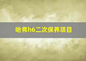 哈弗h6二次保养项目