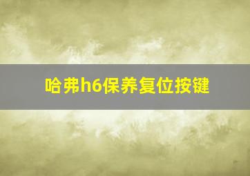 哈弗h6保养复位按键