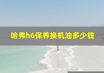 哈弗h6保养换机油多少钱