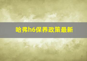 哈弗h6保养政策最新