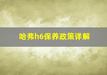 哈弗h6保养政策详解