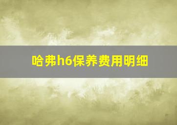 哈弗h6保养费用明细