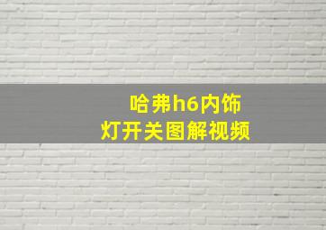 哈弗h6内饰灯开关图解视频