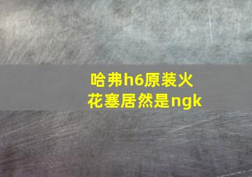 哈弗h6原装火花塞居然是ngk