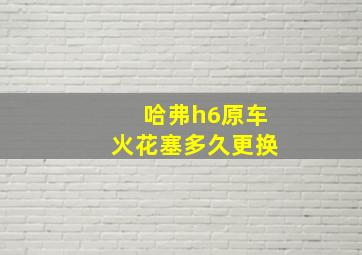 哈弗h6原车火花塞多久更换