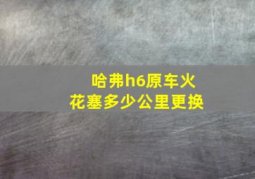 哈弗h6原车火花塞多少公里更换