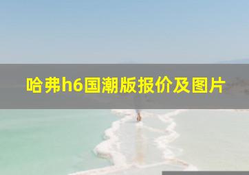 哈弗h6国潮版报价及图片