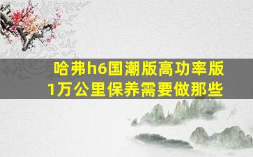 哈弗h6国潮版高功率版1万公里保养需要做那些