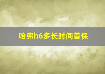 哈弗h6多长时间首保