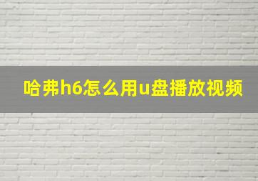 哈弗h6怎么用u盘播放视频