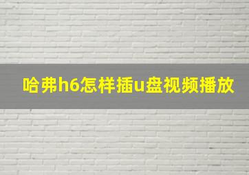 哈弗h6怎样插u盘视频播放