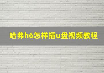 哈弗h6怎样插u盘视频教程