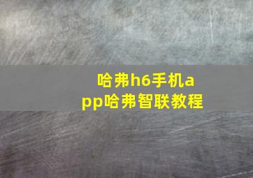 哈弗h6手机app哈弗智联教程