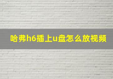 哈弗h6插上u盘怎么放视频