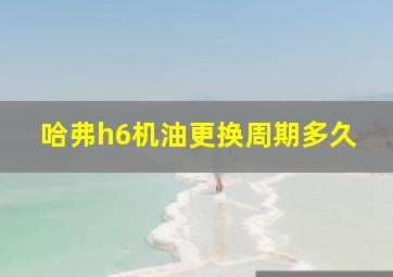 哈弗h6机油更换周期多久