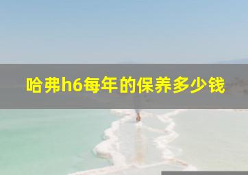 哈弗h6每年的保养多少钱