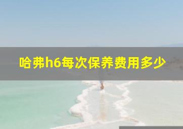 哈弗h6每次保养费用多少