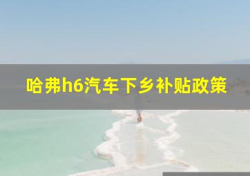 哈弗h6汽车下乡补贴政策