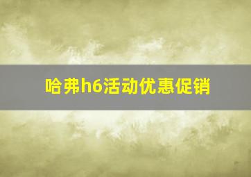 哈弗h6活动优惠促销