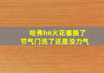 哈弗h6火花塞换了节气门洗了还是没力气