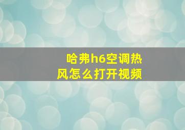 哈弗h6空调热风怎么打开视频