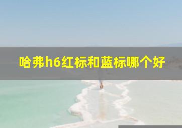 哈弗h6红标和蓝标哪个好