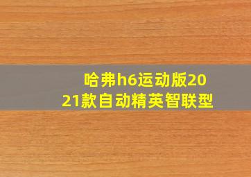 哈弗h6运动版2021款自动精英智联型