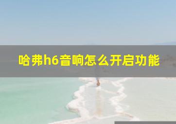 哈弗h6音响怎么开启功能