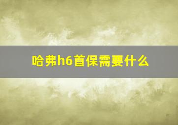 哈弗h6首保需要什么