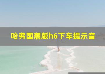 哈弗国潮版h6下车提示音