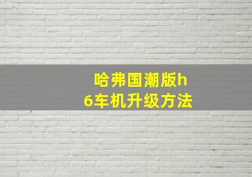 哈弗国潮版h6车机升级方法