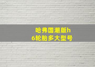 哈弗国潮版h6轮胎多大型号