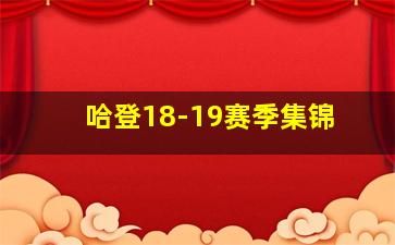 哈登18-19赛季集锦