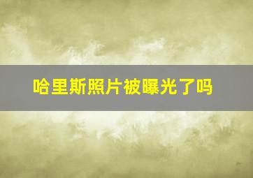 哈里斯照片被曝光了吗