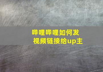 哔哩哔哩如何发视频链接给up主