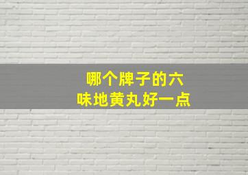 哪个牌子的六味地黄丸好一点