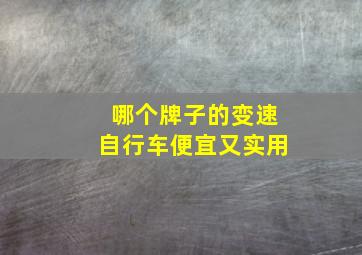 哪个牌子的变速自行车便宜又实用