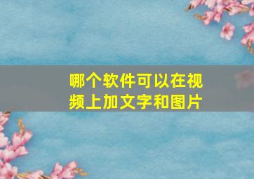 哪个软件可以在视频上加文字和图片