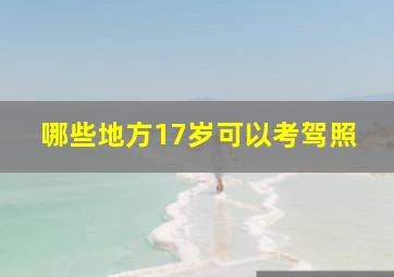 哪些地方17岁可以考驾照