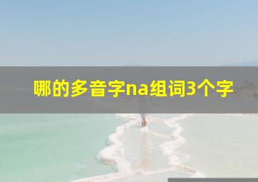 哪的多音字na组词3个字