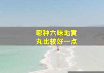 哪种六味地黄丸比较好一点