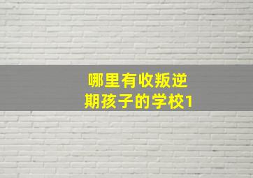 哪里有收叛逆期孩子的学校1