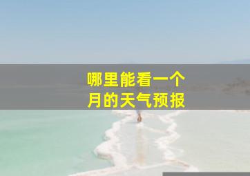 哪里能看一个月的天气预报