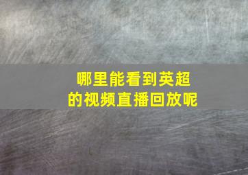 哪里能看到英超的视频直播回放呢