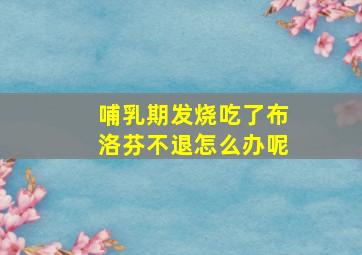 哺乳期发烧吃了布洛芬不退怎么办呢