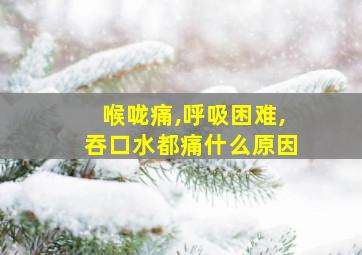 喉咙痛,呼吸困难,吞口水都痛什么原因